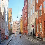 Sanders Leaves - Precious Two-Bedroom Penthouse In Downtown Copenhagen